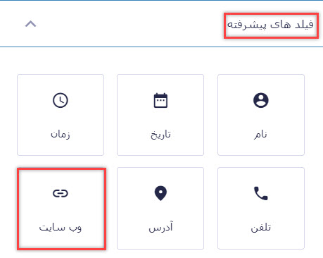 فیلد وبسایت افزونه گروایتی فرم
