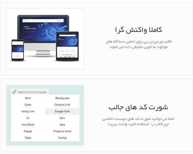 پوسته حرفه ای be