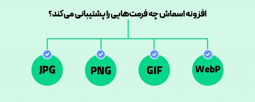 فرمت‌های قابل پشتیبانی افزونه اسماش