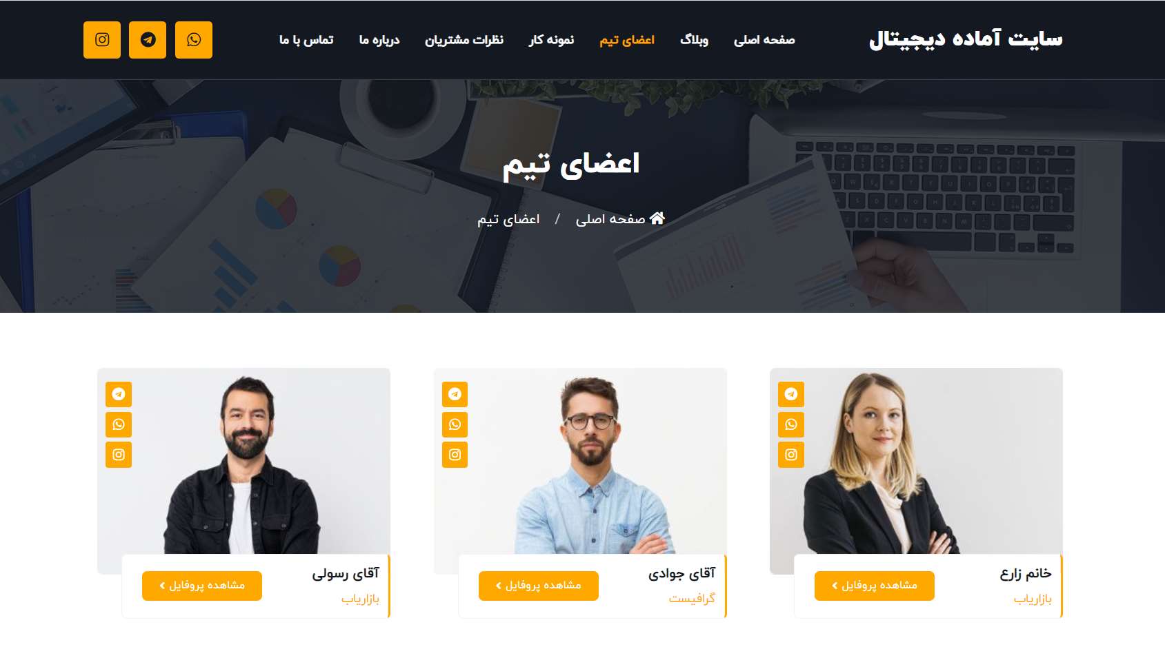 صفحه اعضا تیم سایت آماده دیجیتال مارکتینگ