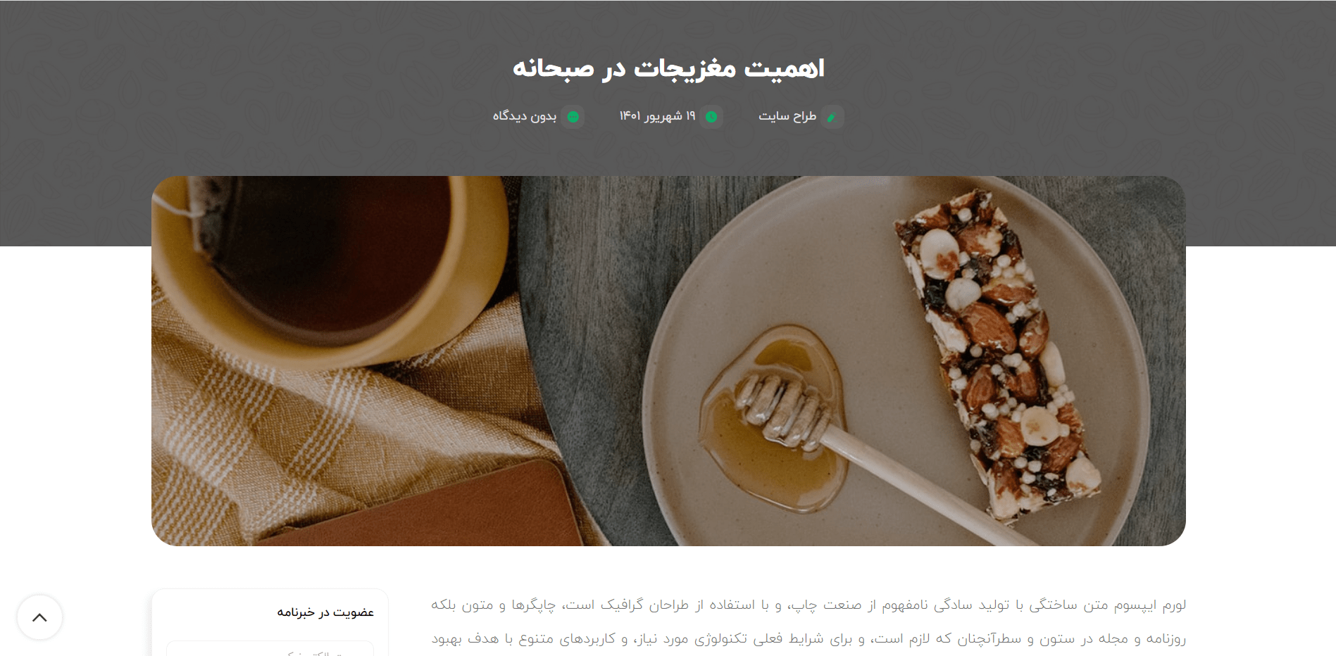 صفحه مقاله سایت آماده فروشگاه خشکبار