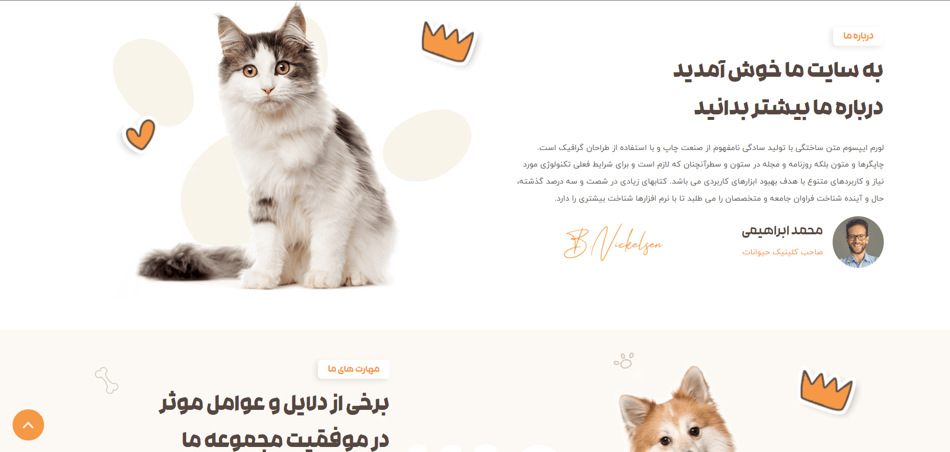 صفحه درباره ما سایت آماده پت شاپ